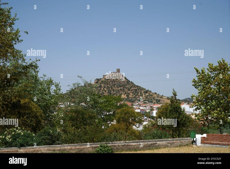 Chicken road casino, chicken road online